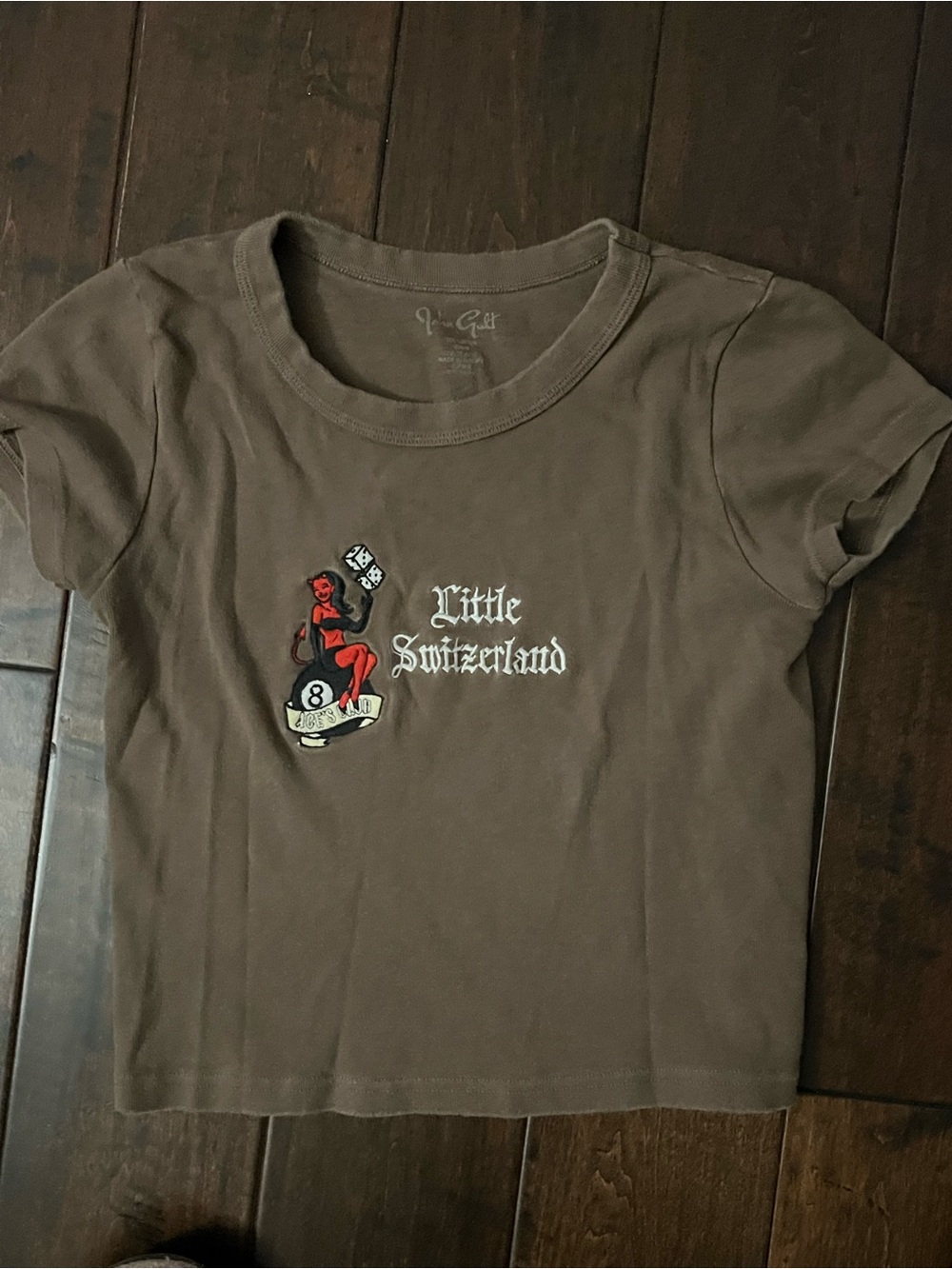 Brandy Melville Little Switzerland Brown Graphic Tee